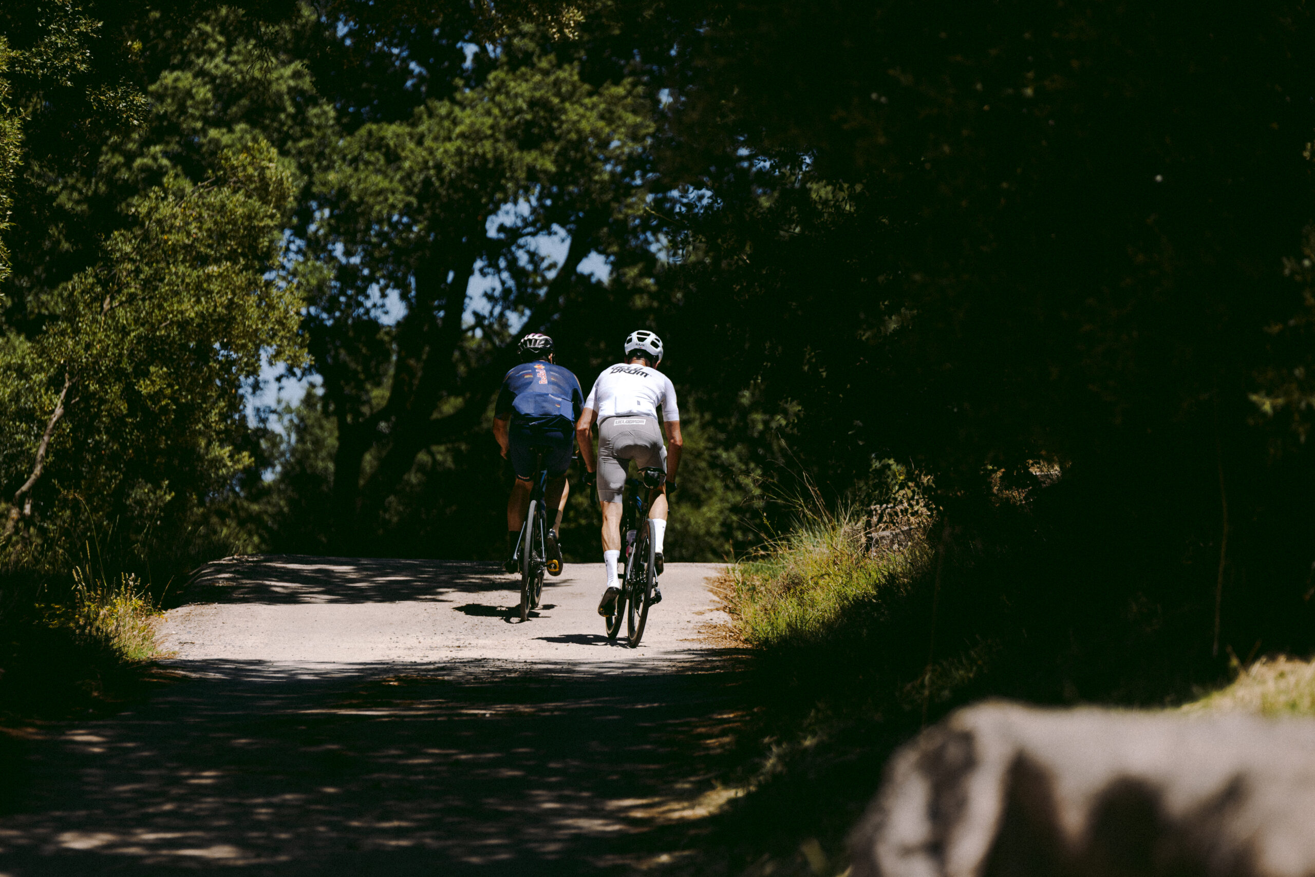 Dos ciclistes pedalegen per una carretera envoltada de bosc