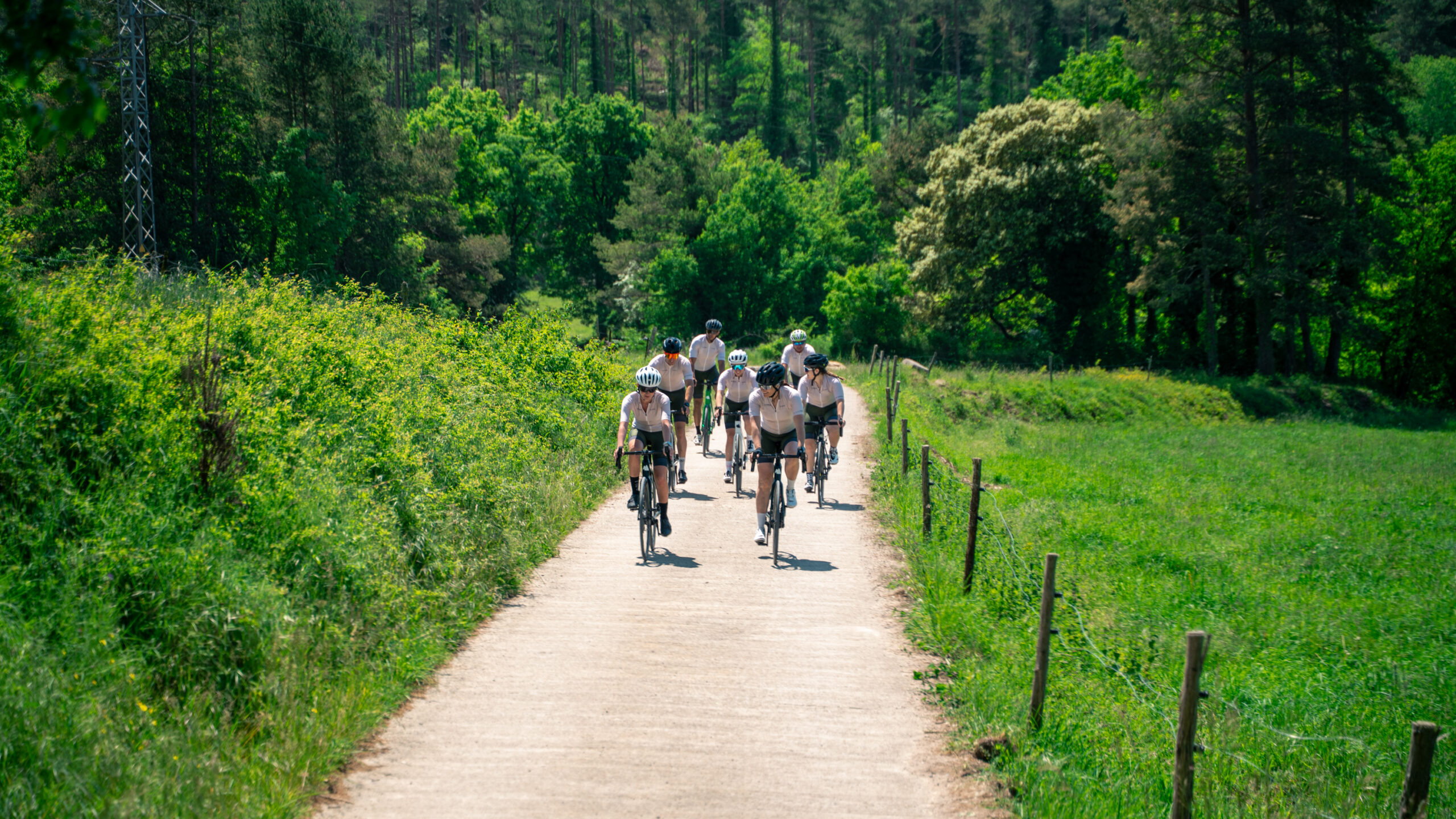 Grup de ciclistes circulant per una pista entre boscos