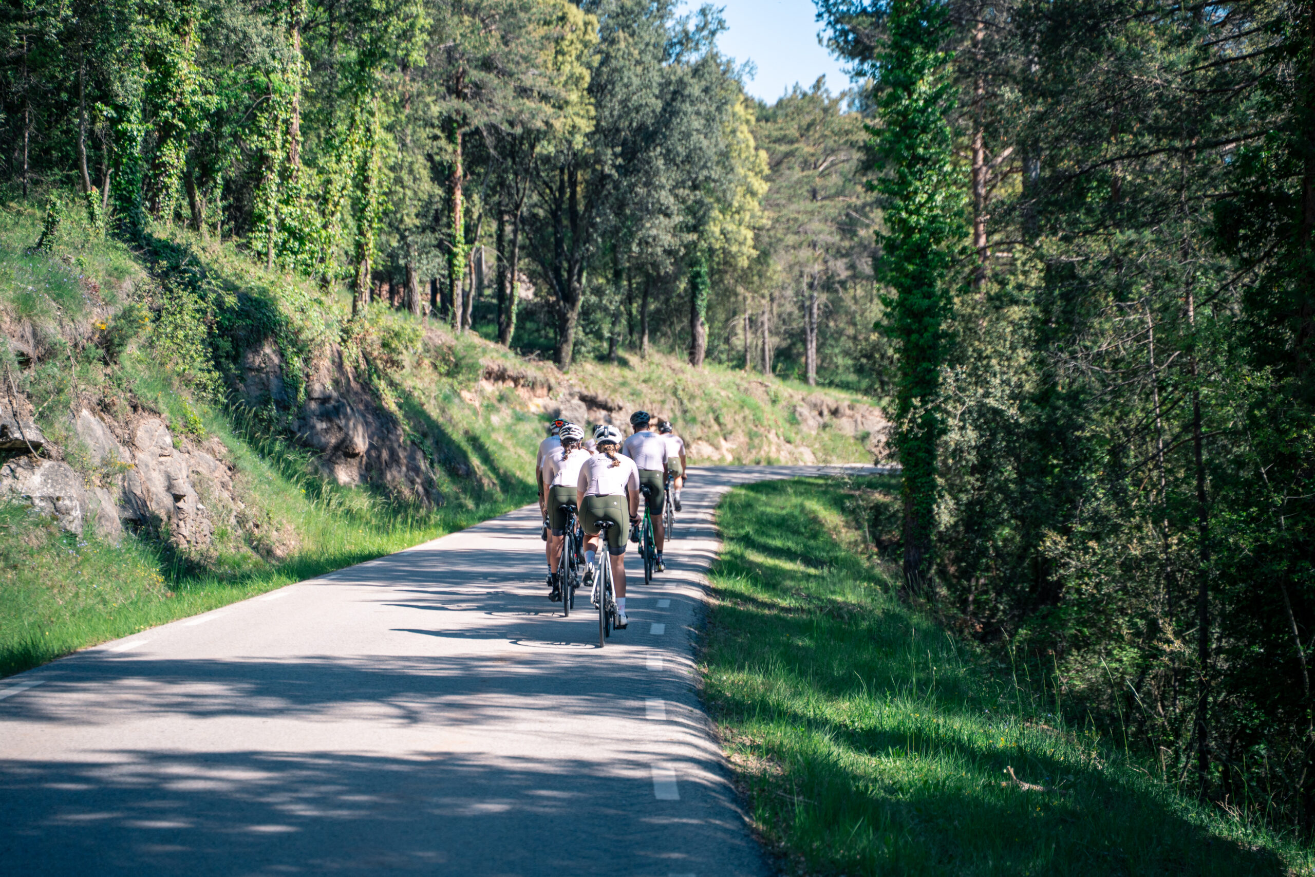 Ciclistes circulant per una carretera entre boscos del Lluçanès