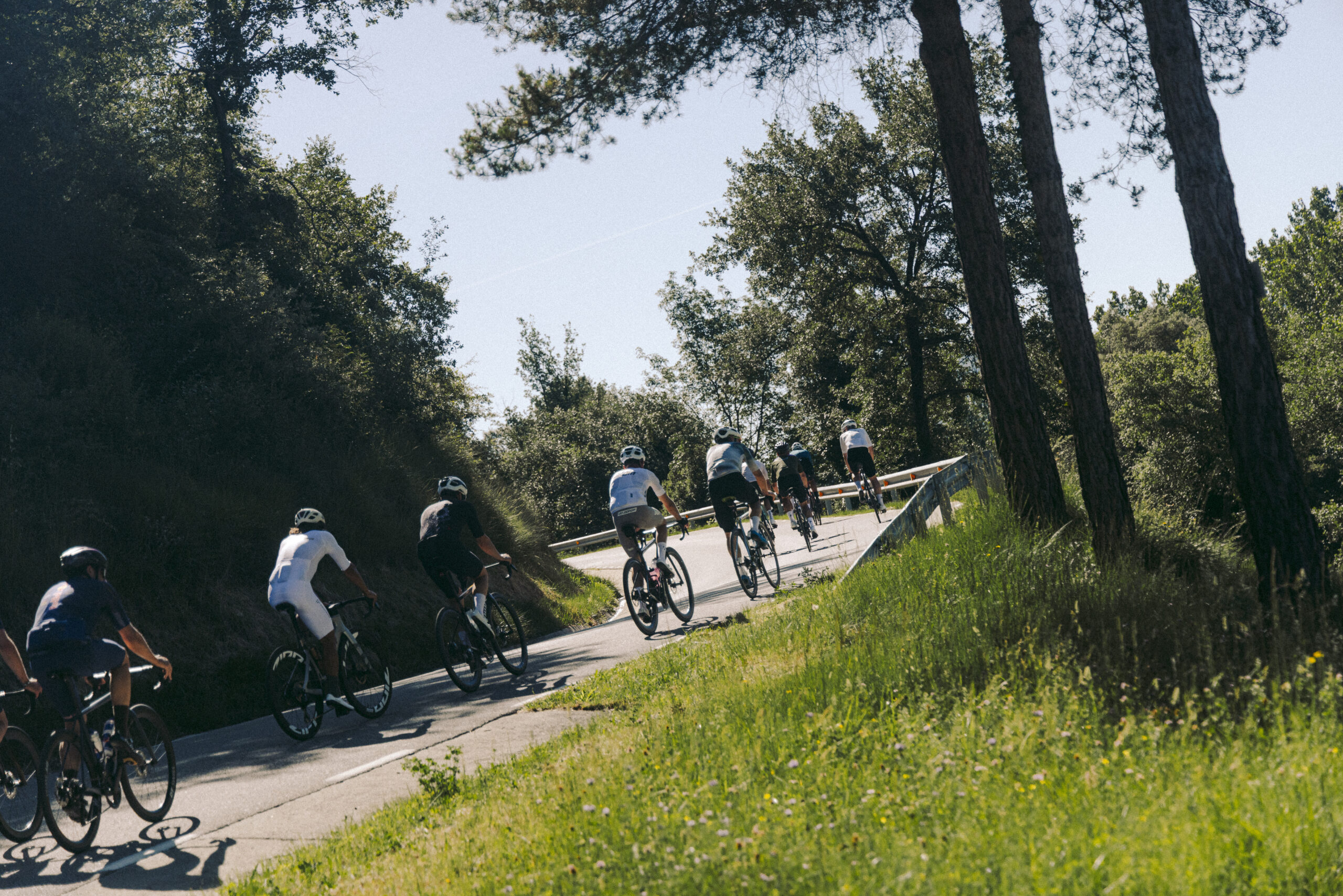 Grup de ciclistes pujant una carretera entre boscos cap als Rasos de Peguera